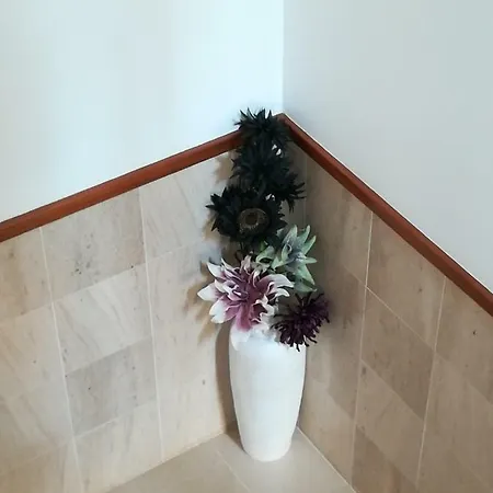 Vina's Place Nocleg ze śniadaniem Nazaré