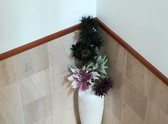 Vina's Place Bed & Breakfast Nazare